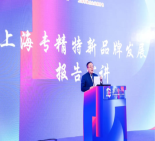 上海专精特新品牌价值创新提升专场活动成功举办